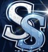 SS Detailing logo