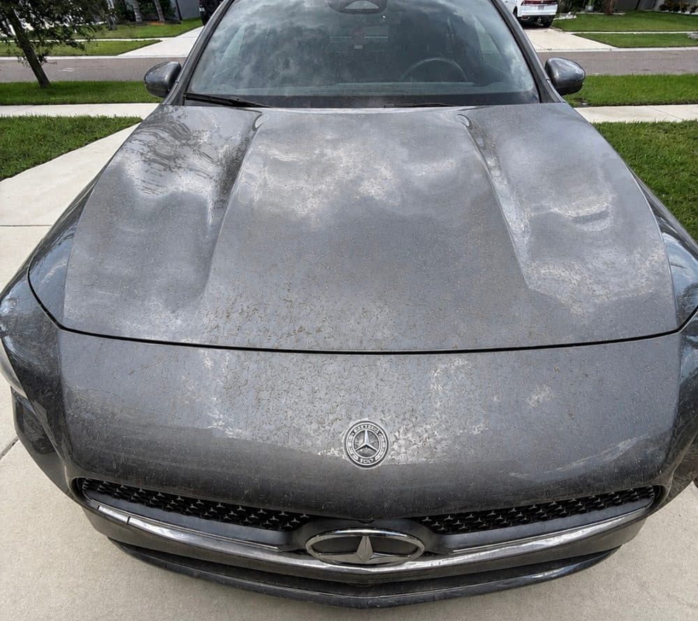 Exterior Wash & Decon — before