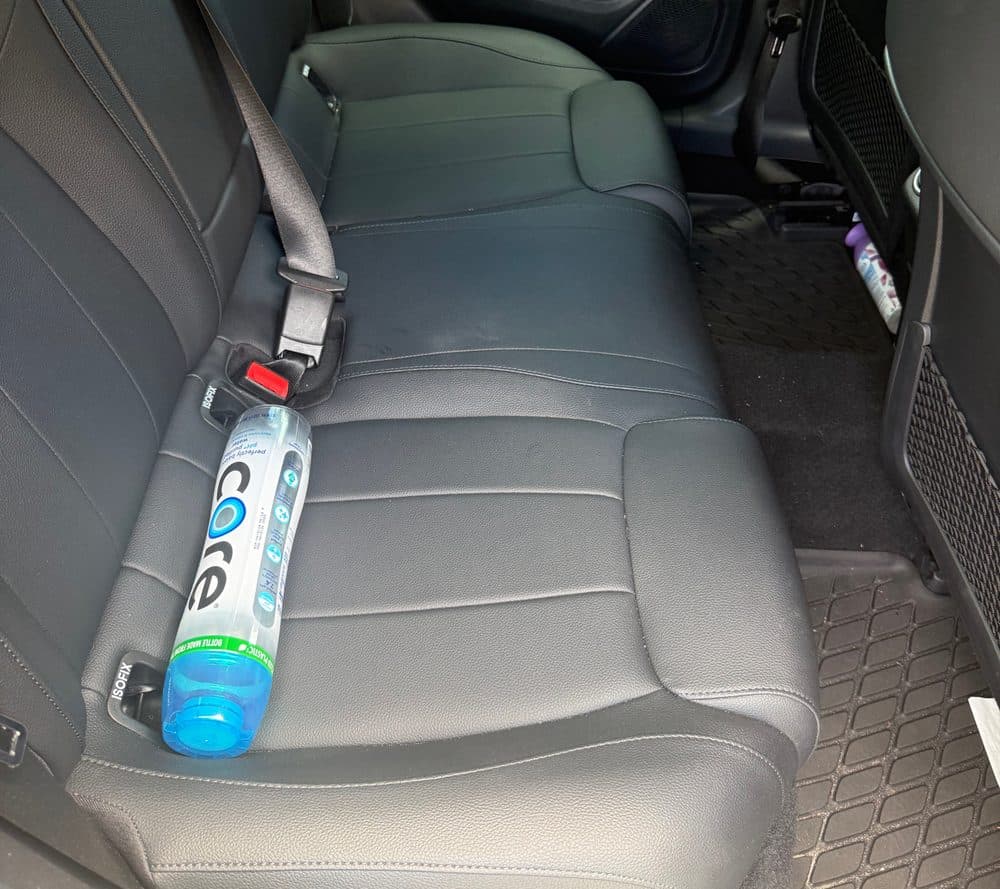 Rear Seat Deep Clean — before